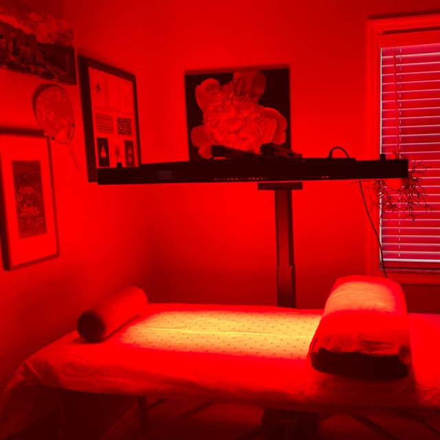 Red Light Therapy at Salon ZERO in Safety Harbor, FL